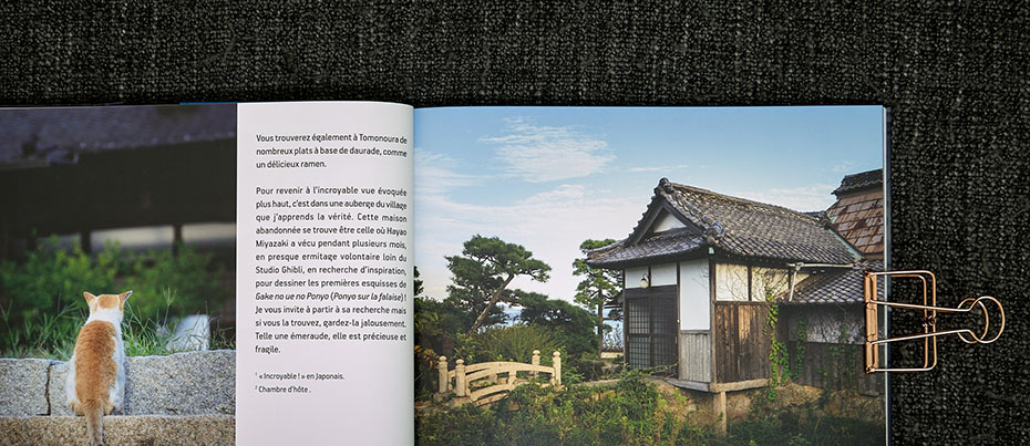 Cat in a photography book about rural Japan