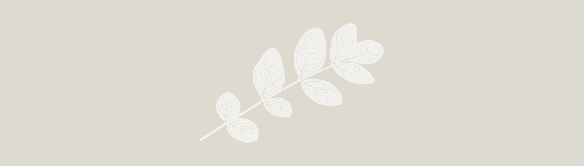 white indigo plant illustration