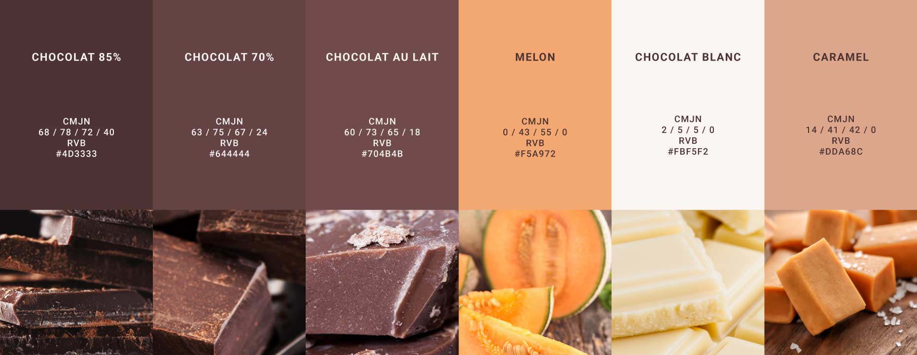 palette de couleurs identité visuelle chocolaterie