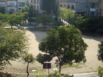 01-copie-100.jpg