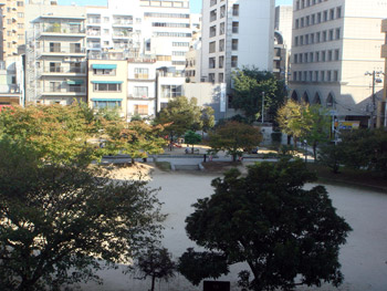 01-copie-100.jpg