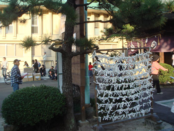 01-copie-100.jpg