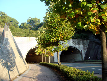 01-copie-100.jpg