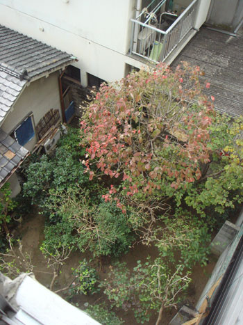 01-copie-100.jpg
