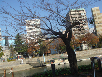 Jud à Hiroshima