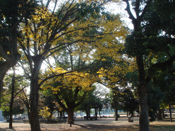 Jud à Hiroshima