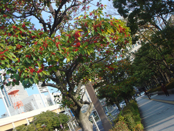 Jud à Hiroshima