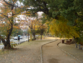 Jud à Hiroshima