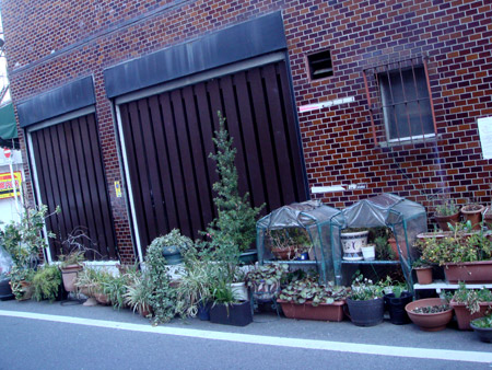 Jud à Hiroshima