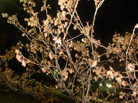 Jud à Hiroshima