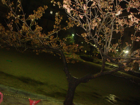 Jud à Hiroshima