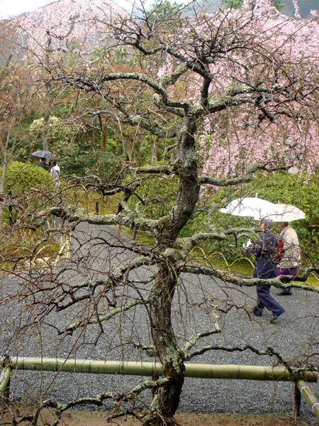Jud à Hiroshima