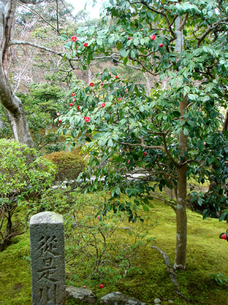 Jud à Hiroshima
