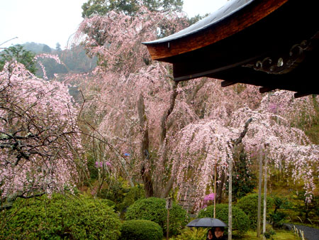 Jud à Hiroshima