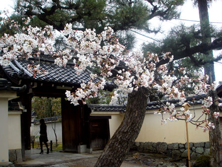 Jud à Hiroshima