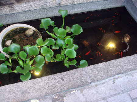 jud à Hiroshima
