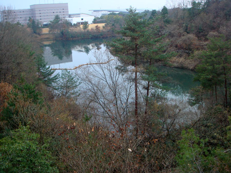 jud à Hiroshima - cottage japon
