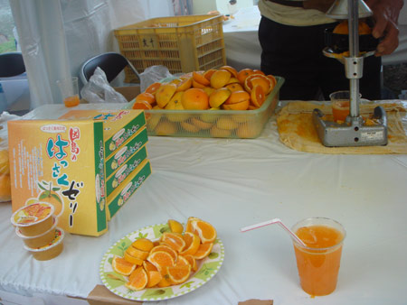 jud à Hiroshima - food festival Hiroshima