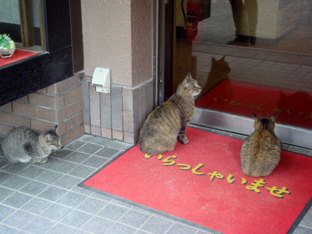 jud à Hiroshima