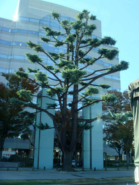 jud à Hiroshima - Sandankyo