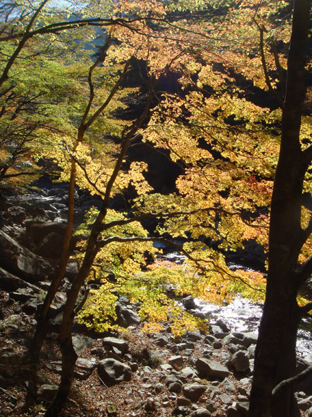 jud à Hiroshima - Sandankyo