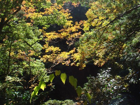 jud à Hiroshima - Sandankyo