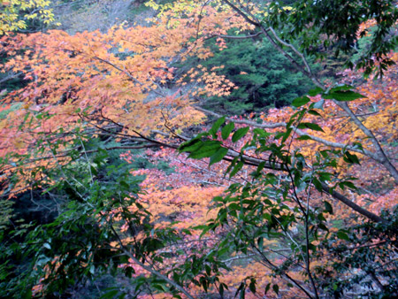 jud à Hiroshima - Sandankyo