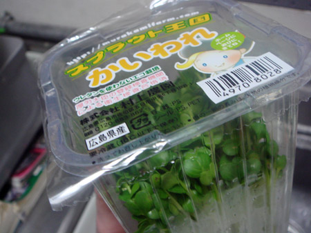jud à Hiroshima - légumes japonais : ginnan, sprouts, okura