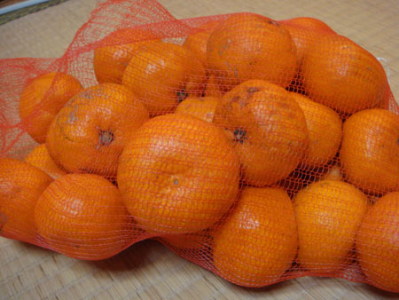 jud à Hiroshima - marché du port d'Ujina