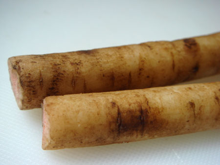 jud à Hiroshima - gobo