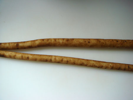 jud à Hiroshima