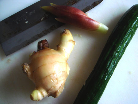 jud à Hiroshima